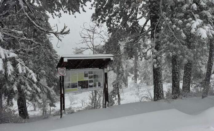 Troodos Monomatia G