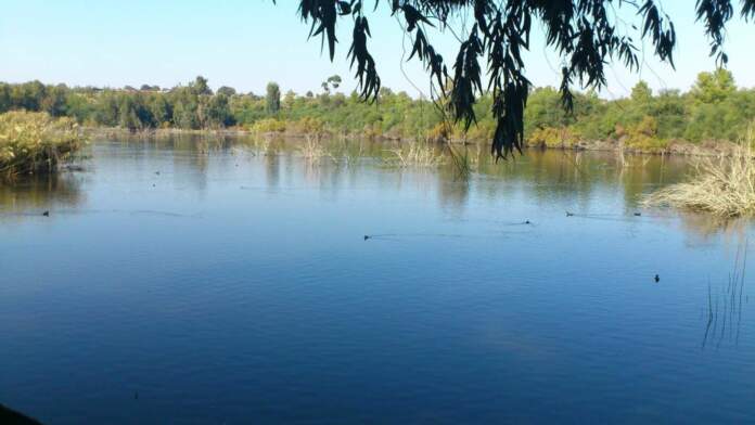 Athalassa Lake