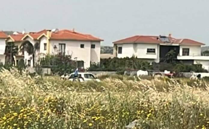 Unficyp Pergamos