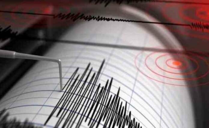 Seismosss 1 (1)