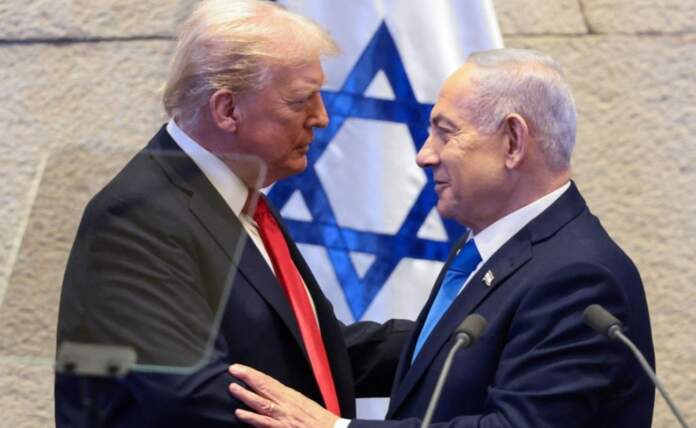 Tramp Netaniaxou (1)