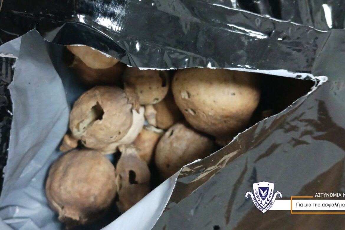 &Beta;&rho;ή&kappa;&alpha;&nu; ά&lambda;&lambda;&alpha; 20kg &nu;&alpha;&rho;&kappa;&omega;&tau;&iota;&kappa;ά-&pi;&alpha;&pi;&alpha;&rho;&omicron;ύ&nu;&alpha;- 5 &sigma;&upsilon;&lambda;&lambda;ή&psi;&epsilon;&iota;&sigmaf;