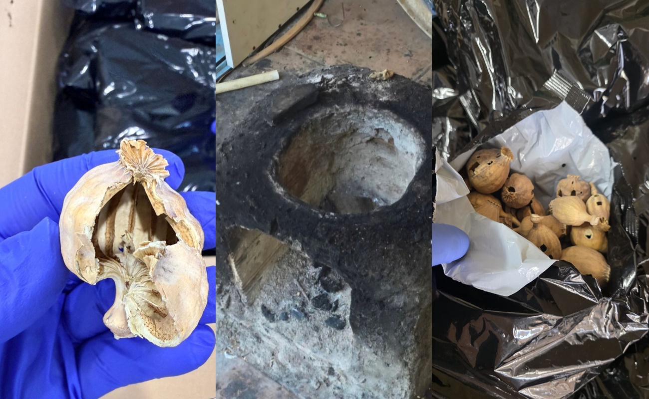&Beta;&rho;ή&kappa;&alpha;&nu; ά&lambda;&lambda;&alpha; 20kg &nu;&alpha;&rho;&kappa;&omega;&tau;&iota;&kappa;ά-&pi;&alpha;&pi;&alpha;&rho;&omicron;ύ&nu;&alpha;-5 &sigma;&upsilon;&lambda;&lambda;ή&psi;&epsilon;&iota;&sigmaf; (pics)